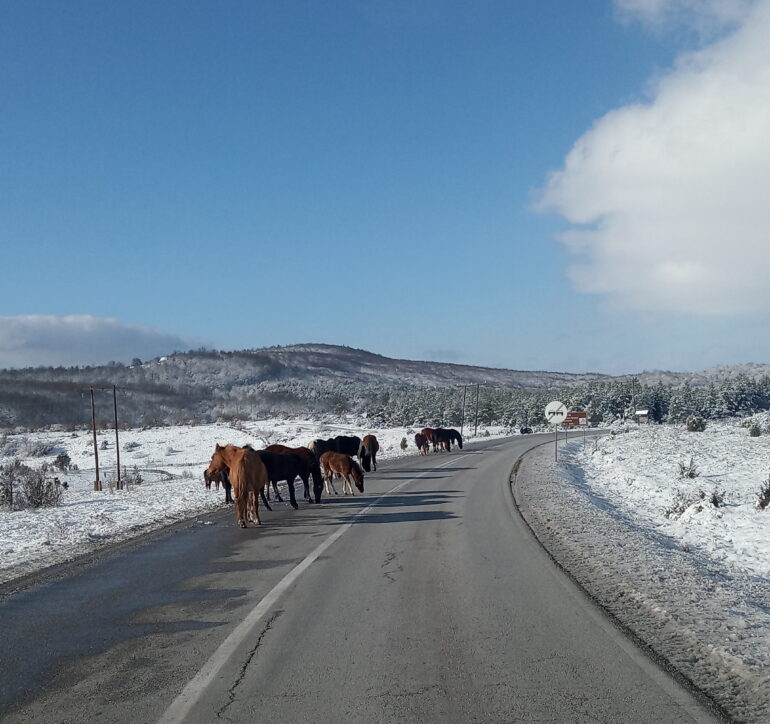 On the way to Sokolac