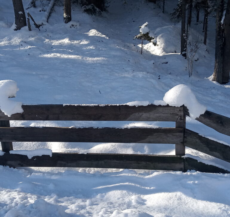 Winter in North Tyrol